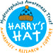 Harry's Hydrocephalus Awareness Trust 