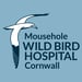 Mousehole Wild Bird Hospital