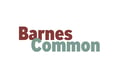Barnes Common Limited logo