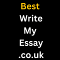 Best Write My Essay logo