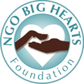 Big Hearts Foundation logo