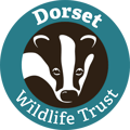 Dorset Wildlife Trust logo