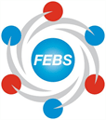 Federation of European Biochemical Societies logo