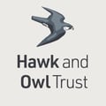 Hawk and Owl Trust logo