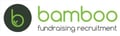 Bamboo Fundraising Recruitment  logo