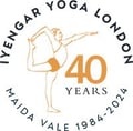 IYIMV logo