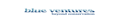Blue Ventures logo