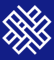 Vital Strategies logo