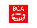 Barnes Community Association  logo
