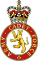 Humberside & South Yorkshire Army Cadet Force logo