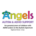 Angels Support Group Hitchin logo