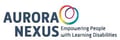 Aurora Nexus logo