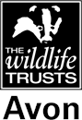 Avon Wildlife Trust 