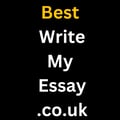 Best Write My Essay logo