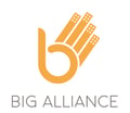 BIG Alliance logo