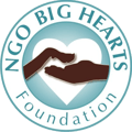 Big Hearts Foundation logo