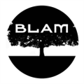 BLAM Charity ( Black Learning Achievement and Mental Health) logo