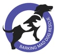Barking Mad Dog Rescue
