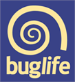 Buglife logo
