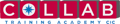 Collab Training Academy CIC logo