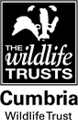 Cumbria Wildlife Trust  logo