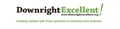 Downright Excellent logo