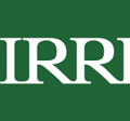 International Rice Research Institute logo