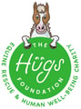 The Hugs Foundation