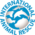 International Animal Rescue  logo