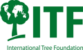 International Tree Foundation logo