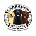 Labrador Welfare logo
