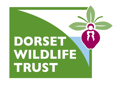 Dorset Wildlife Trust logo