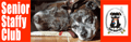 Senior Staffy Club logo