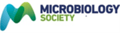 Microbiology Society logo