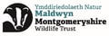 Montgomeryshire Wildlife Trust