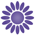 Hertfordshire Domestic Abuse Helpline logo