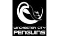 Winchester City Penguins Swimming Club logo