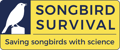 SongBird Survival