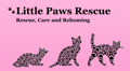 Little Paws Rescue logo