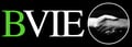 Brighton Voices in Exile logo