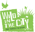 Wild in the City logo