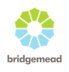 Bridge Care Ltd logo