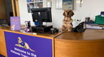 03. Recruitment Process - OJ on reception_2023.jpg