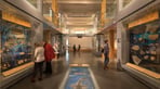 0_Museum-of-Somerset-credit-South-West-Heritage-Trust.jpg