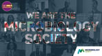 Microbiology Society logo