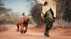 DSWT_Mia Collis_June24-88chamboi4.jpg
