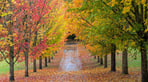 shutterstock_1138094633-800x533.jpg