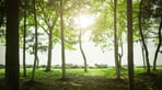 shutterstock_550788622-800x600.jpg