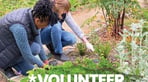 volunteer.IG.2023 - CABAHS.jpg