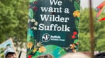 Widler Suffolk.jpg